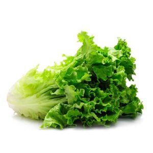 fresh-lettuce-2