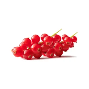 fresh-red-currant-2