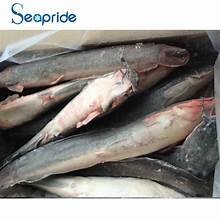 Frozen Catfish (500-800)