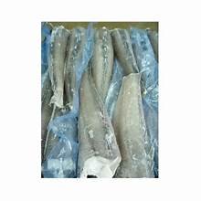 frozen-hake-800-1200