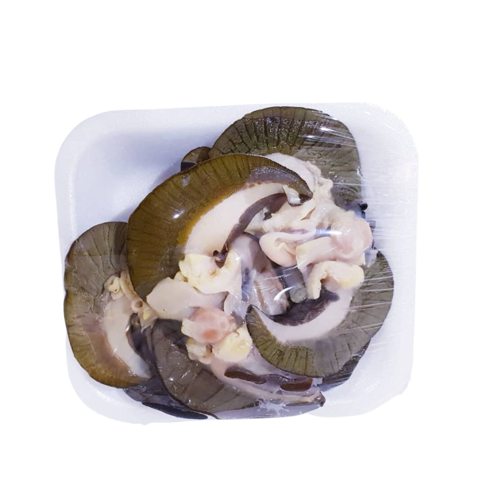Valina's Frozen Snails (Jumbo)