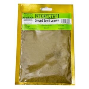 african-delight-ground-scent-leaf