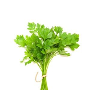 Fresh Coriander Leaf
