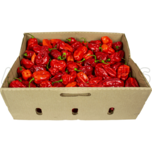 Fresh Uganda Hot Pepper Box
