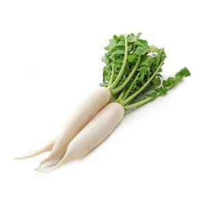 Fresh Radish White (Mooli)