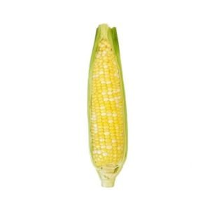 Fresh Sweet Corn