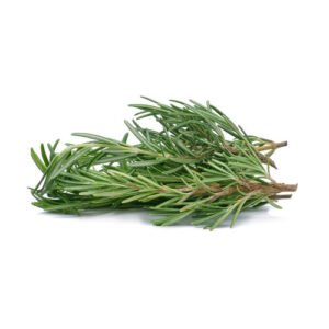 fresh-rosemary-herbs-2