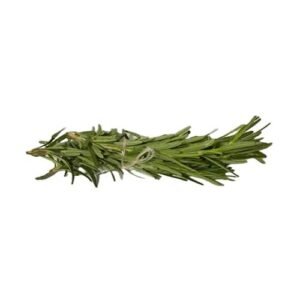 Fresh Rosemary Herbs