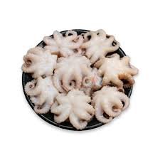 Frozen Baby Octopus