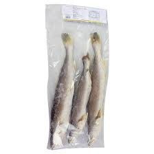 Frozen Sea Trout Kandratike Fish