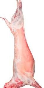 Fresh Half Mutton / Ewe Meat