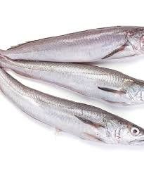 Frozen Hake Fish Uncut (Stockfish)