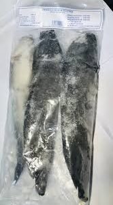 frozen-pangasius-white-catfish-whole