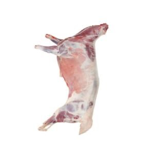 Fresh Whole Lamb