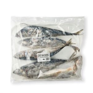 Frozen Jack Mackerel Fish