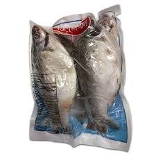 Frozen Tilapia Fish 500-800 (Gutted & Scaled)