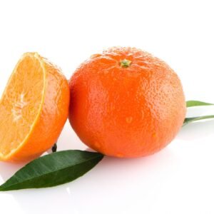 Satsuma (NADORCOTTS)