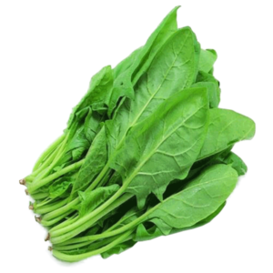 Fresh Spinach Leaf