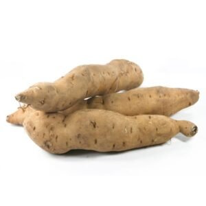 Sweet Potato White