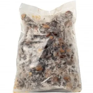 Frozen Whole Locust Beans (Iru)